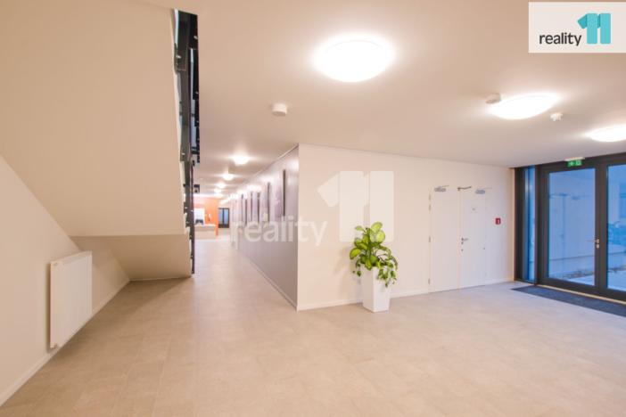 Pronájem bytu 1+kk, Liberec - Liberec III-Jeřáb, U Nisy, 33 m2