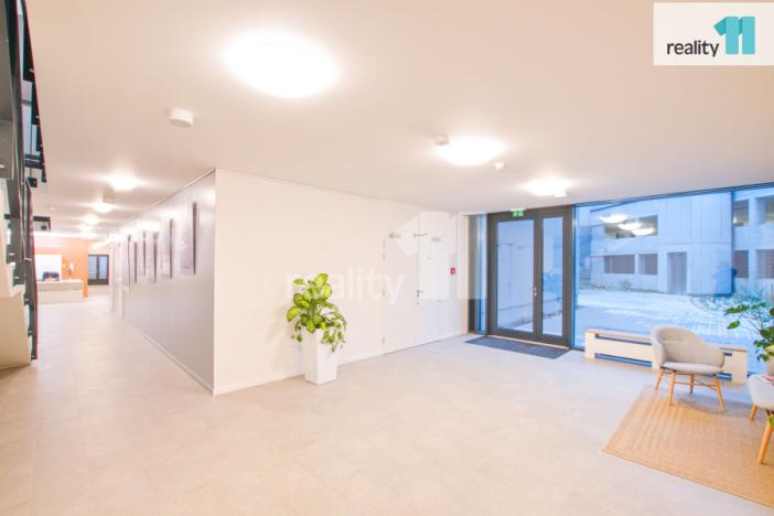 Pronájem bytu 1+kk, Liberec - Liberec III-Jeřáb, U Nisy, 33 m2