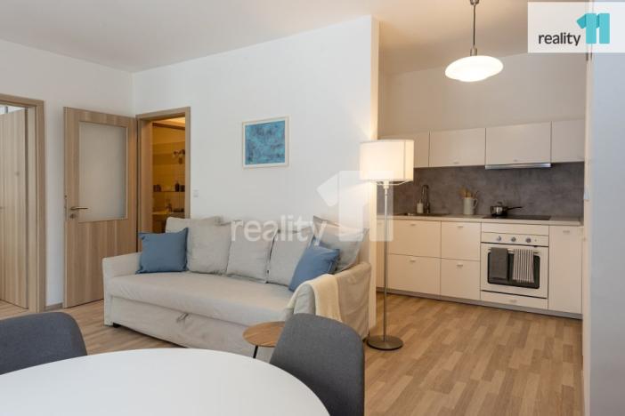 Pronájem bytu 1+kk, Liberec - Liberec III-Jeřáb, U Nisy, 33 m2