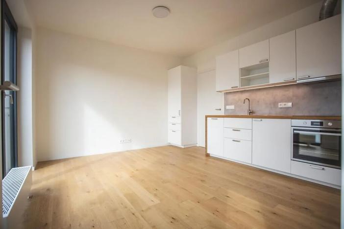 Pronájem bytu 2+kk, Praha - Řepy, U Lesoparku, 40 m2