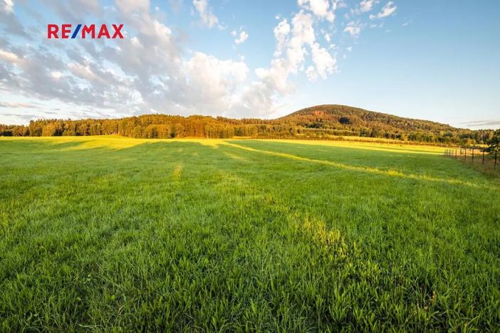 Prodej zemědělské usedlosti, Jablonné v Podještědí, 1000 m2