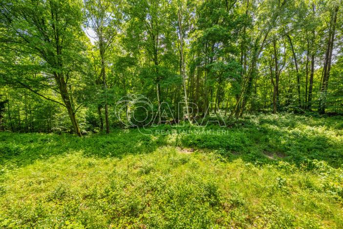 Prodej pozemku pro bydlení, Hrubá Skála, 5519 m2