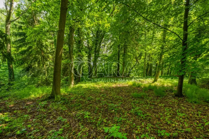 Prodej pozemku pro bydlení, Hrubá Skála, 5519 m2