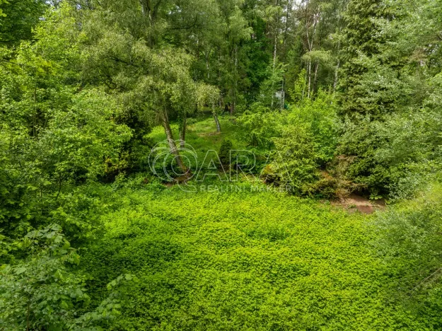 Prodej pozemku pro bydlení, Hrubá Skála, 5519 m2