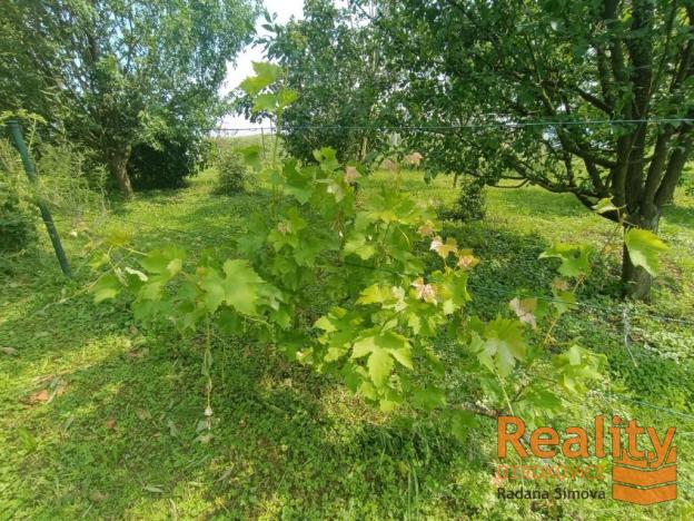 Prodej zahrady, Otrokovice, Hložkova, 2202 m2