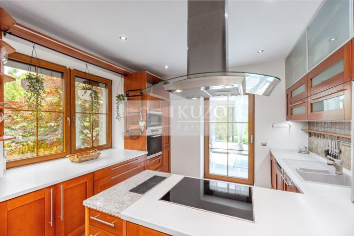 Prodej rodinného domu, Mladá Boleslav - Čejetice, Nová, 302 m2