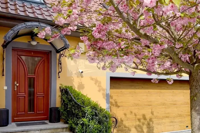 Prodej rodinného domu, Mladá Boleslav - Čejetice, Nová, 302 m2