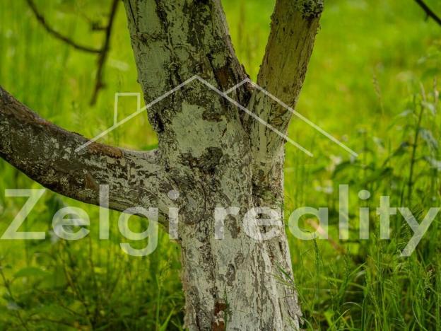 Prodej sadu/vinice, Polom, 9760 m2