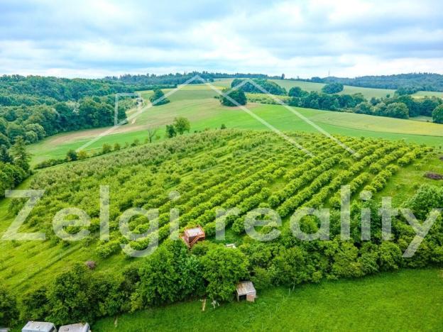 Prodej sadu/vinice, Polom, 9760 m2