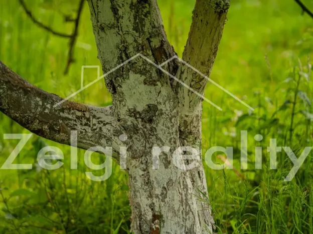 Prodej sadu/vinice, Polom, 9760 m2