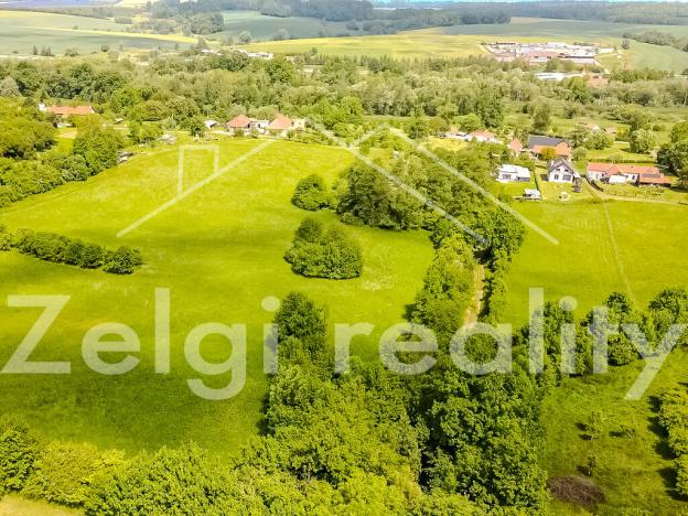 Prodej pozemku, Polom, 3929 m2