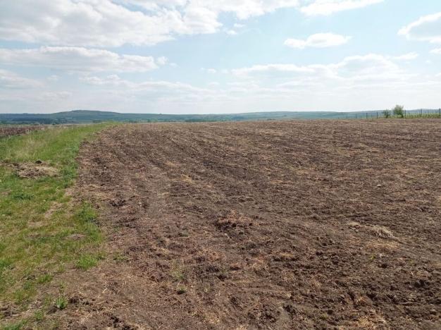 Prodej sadu/vinice, Sedlec, 21196 m2