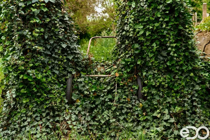 Prodej rodinného domu, Chudčice, 320 m2