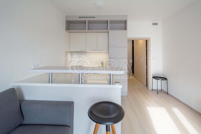 Pronájem bytu 1+kk, Praha - Vršovice, Petrohradská, 30 m2
