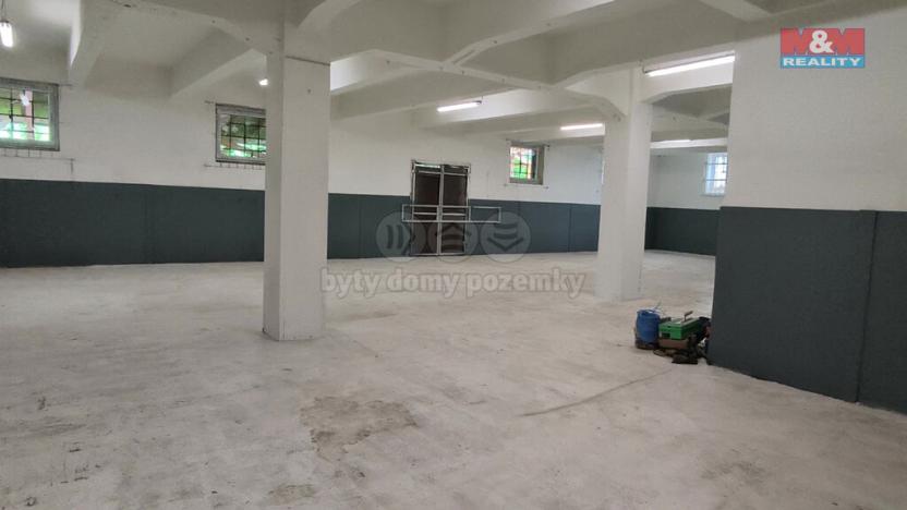 Pronájem výrobních prostor, Orlová - Poruba, Nádražní, 821 m2