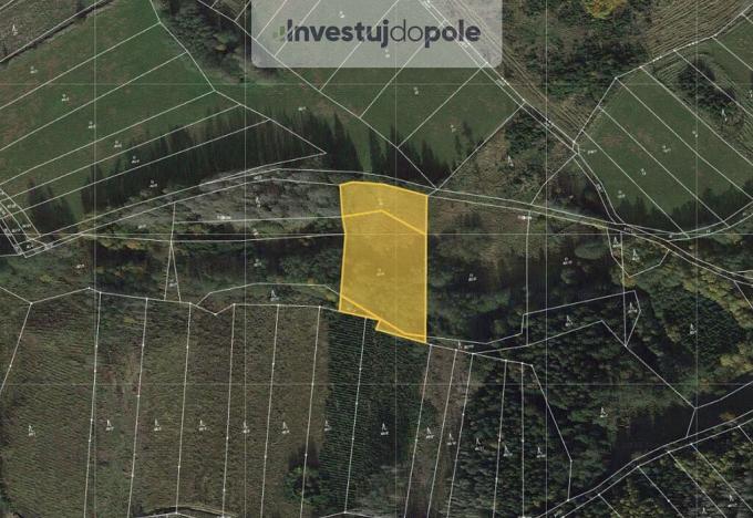 Prodej louky, Vápovice, 4174 m2