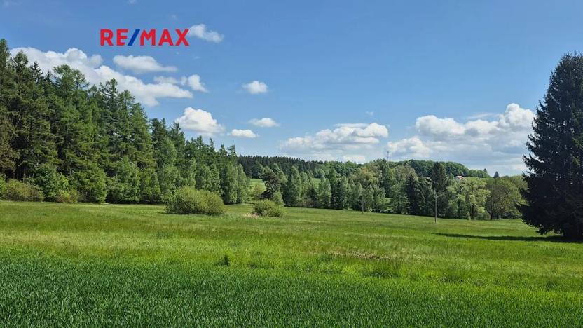 Prodej pozemku pro bydlení, Borová, 5776 m2