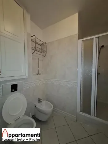 Prodej bytu 2+kk, Praha - Staré Město, Masná, 49 m2