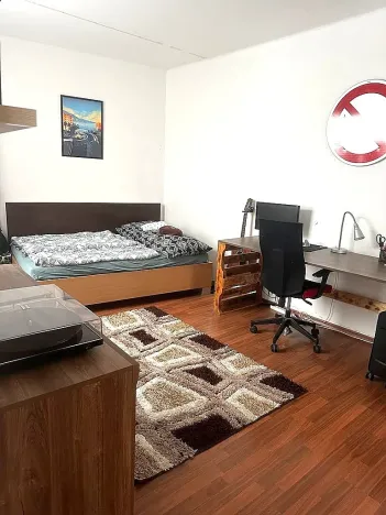 Pronájem bytu 1+1, Brno, Zelný trh, 40 m2