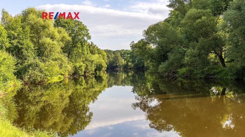 Prodej zemědělské usedlosti, Počedělice, 2500 m2