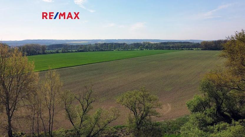 Prodej zemědělské usedlosti, Počedělice, 2500 m2