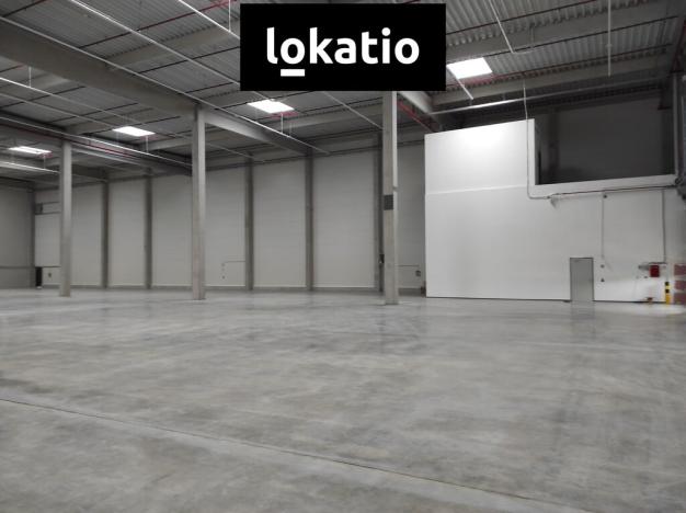 Pronájem skladu, Kozomín, 1155 m2