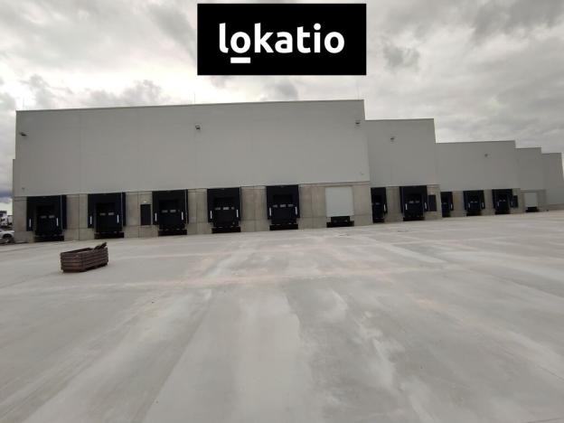 Pronájem skladu, Kozomín, 1155 m2