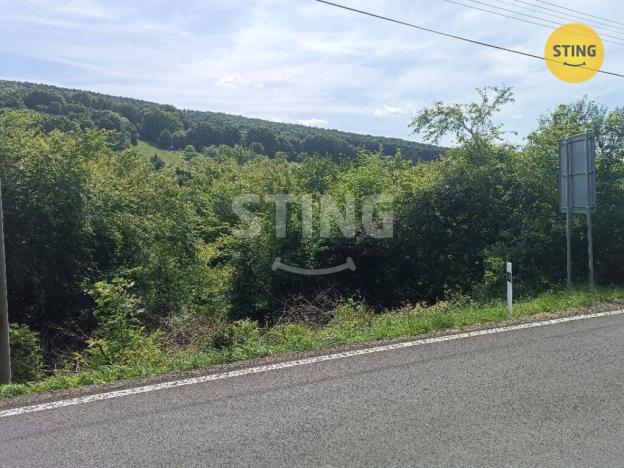 Prodej pozemku pro bydlení, Radějov, 3693 m2