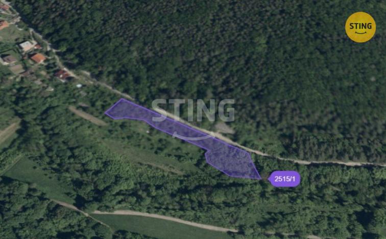 Prodej pozemku pro bydlení, Radějov, 3693 m2