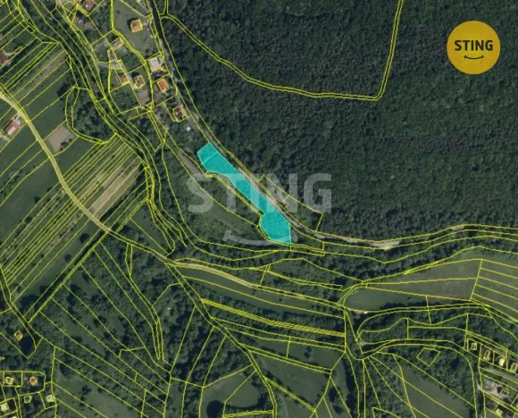 Prodej pozemku pro bydlení, Radějov, 3693 m2