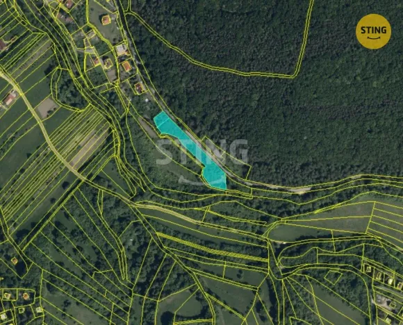 Prodej pozemku pro bydlení, Radějov, 3693 m2