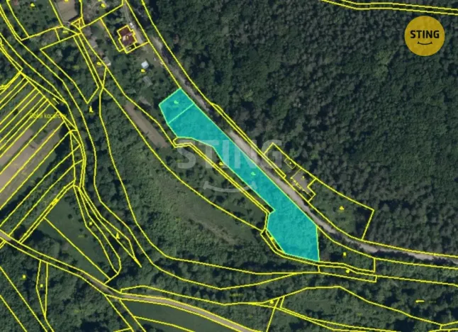 Prodej pozemku pro bydlení, Radějov, 3693 m2