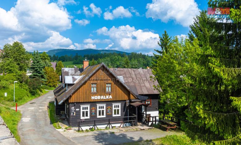 Prodej ubytování, Rokytnice nad Jizerou - Horní Rokytnice, 374 m2
