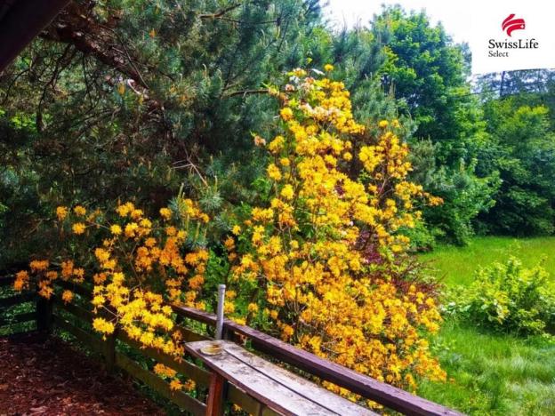 Prodej pozemku pro bydlení, Radešín, 2136 m2