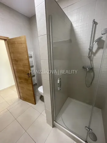 Pronájem bytu 2+kk, České Budějovice, 56 m2