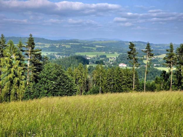 Prodej louky, Vlastiboř, 10451 m2