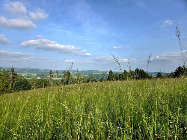 Prodej louky, Vlastiboř, 10451 m2