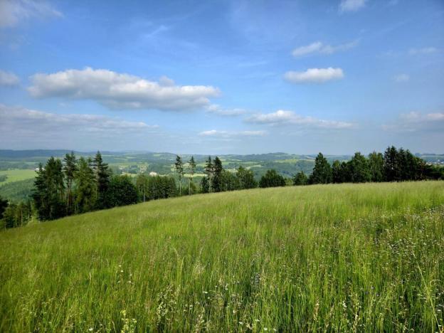 Prodej louky, Vlastiboř, 10451 m2