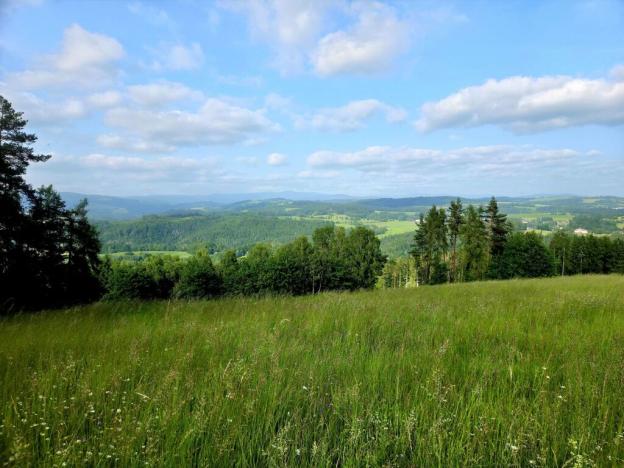 Prodej louky, Vlastiboř, 10451 m2