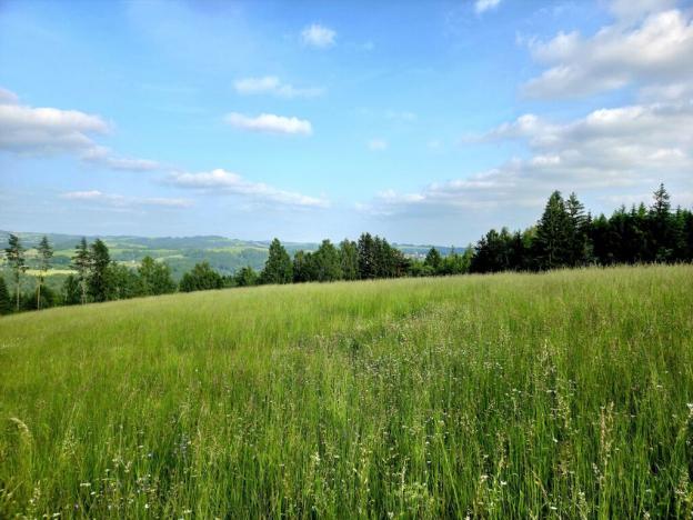 Prodej louky, Vlastiboř, 10451 m2