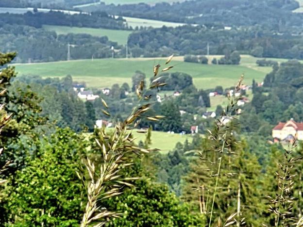 Prodej louky, Vlastiboř, 10451 m2