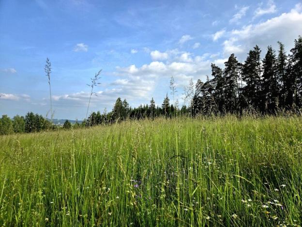 Prodej louky, Vlastiboř, 10451 m2