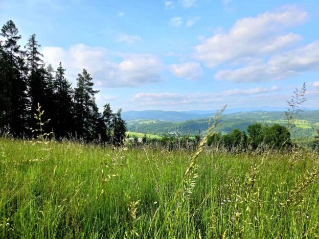 Prodej louky, Vlastiboř, 10451 m2