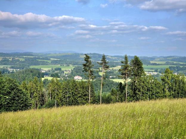 Prodej louky, Vlastiboř, 10451 m2