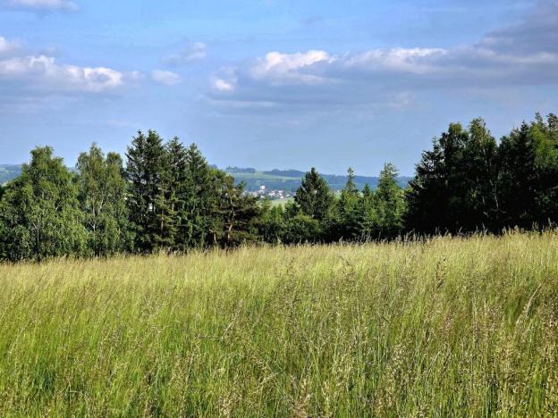 Prodej louky, Vlastiboř, 10451 m2