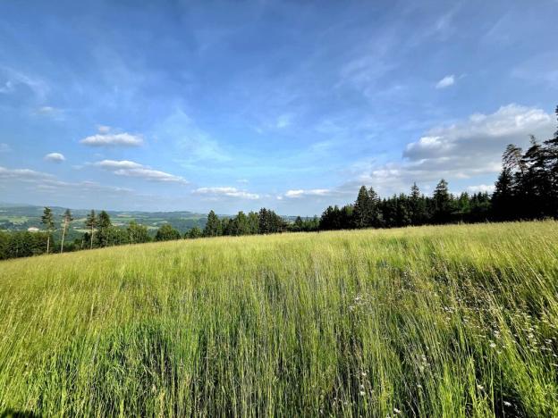 Prodej louky, Vlastiboř, 10451 m2