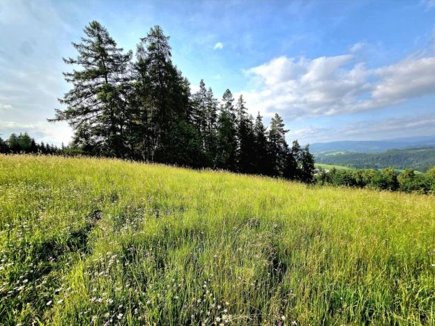 Prodej louky, Vlastiboř, 10451 m2