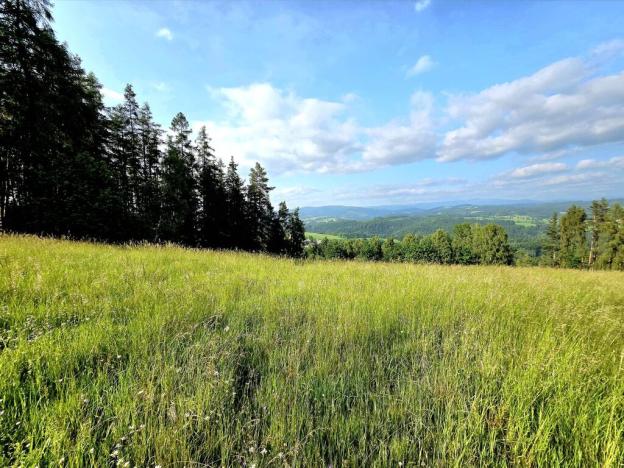 Prodej louky, Vlastiboř, 10451 m2