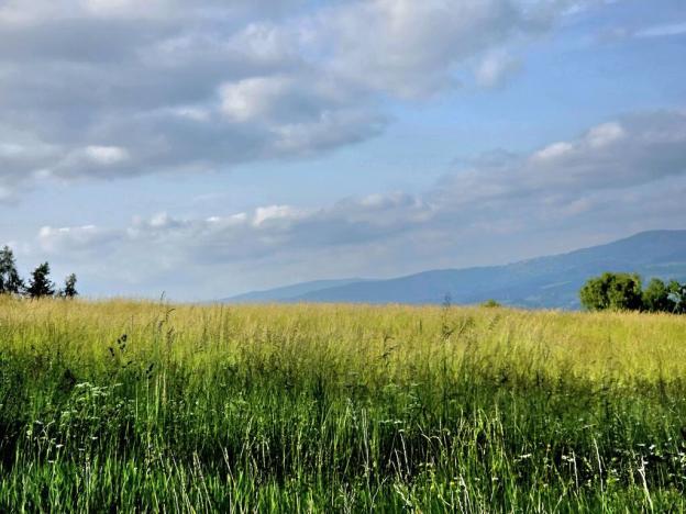 Prodej louky, Vlastiboř, 10451 m2