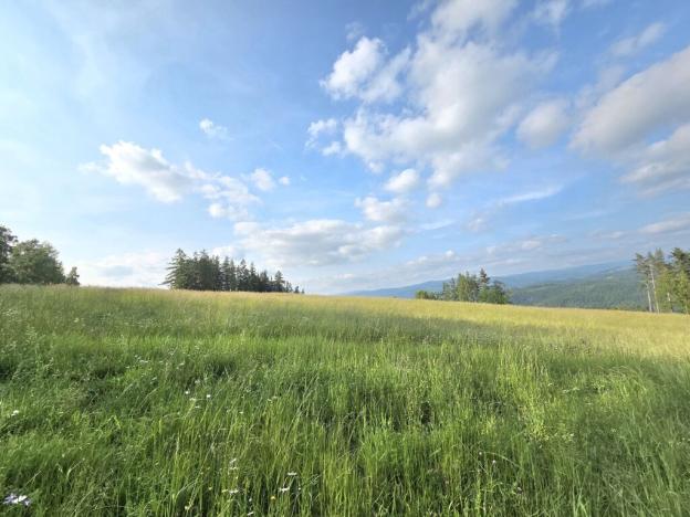 Prodej louky, Vlastiboř, 10451 m2